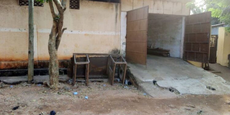 Acouphènes : une appli pourrait atténuer la douleur de ceux qui en souffrent