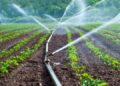 Irrigation au Togo : le contraste avec les chiffres