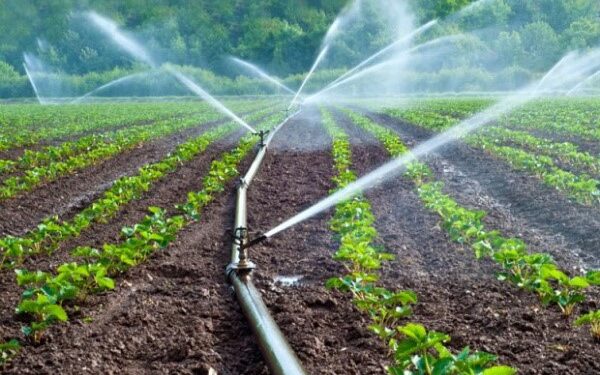 Irrigation au Togo : le contraste avec les chiffres