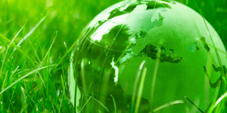 Le Budget vert face aux défis climatiques