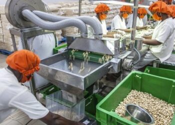 Projet de transformation agro-industrielle du togo : Les détails d’un nouveau coup de pouce de la BAD