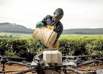 Etat des lieux du paysage de l’innovation 2024 : Togo, 117ème mondial sur 133 et 14ème en Afrique subsaharienne