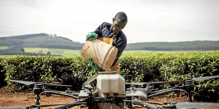 Etat des lieux du paysage de l’innovation 2024 : Togo, 117ème mondial sur 133 et 14ème en Afrique subsaharienne